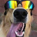 uToni_06's Avatar'