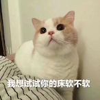 HumpelHolger187's Avatar'