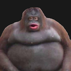 TheRealFaKeSH0T's Avatar'