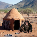 FatherLam.'s Avatar'