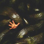 SssnakepiiT's Avatar