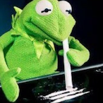 KermitEscaped's Avatar'