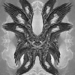 Captain_Nekochi's Avatar'