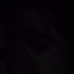 Tvlm's Avatar'