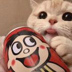 NotRealSh0x's Avatar'