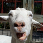 biket94's Avatar'