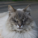 oOAdam_GrahamOo's Avatar