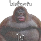 N31n_Boy's Avatar'