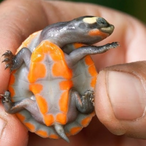 mummys-goodboy00's Avatar'