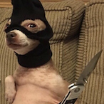 StudMuffin..'s Avatar'