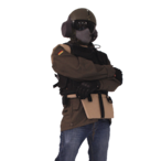 PookieParrot's Avatar'