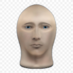 lau-Vierzig's Avatar'