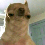 ImNotFat..'s Avatar'