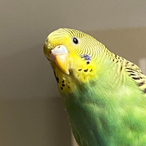 gripking69's Avatar'