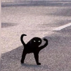 TomSlasher_45's Avatar'