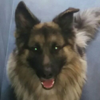 Stormwestern's Avatar