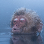 khuuplakid's Avatar'