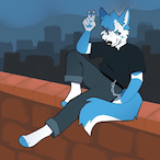 Arctic_Husky's Avatar'
