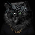 yF5M's Avatar'