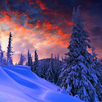 snowY-flake's Avatar'