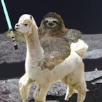 The_SpaceSloth's Avatar'