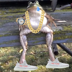 DillPickle605's Avatar'