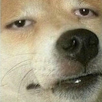 YukiPOG's Avatar'