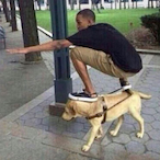 BustAFortnut's Avatar'
