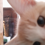 Kat_420's Avatar'