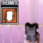 MrSnugglesW0rth's Avatar'
