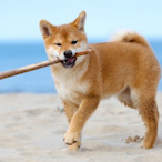 philburger.'s Avatar'