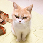 Kei_7's Avatar'