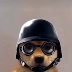 http_insecure's Avatar'