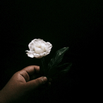 Angstyzeno's Avatar'