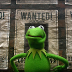 WantedKermit's Avatar'