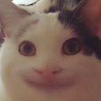 Kurumin_PKT's Avatar'