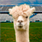 PXA.clinazz's Avatar'