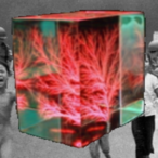 PieterJanSiege's Avatar'