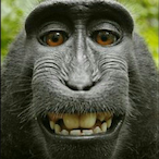 Big.Boy.Blick's Avatar'