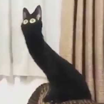 The_Sticky.'s Avatar'