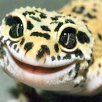 TopBoyWill01's Avatar'