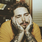 zigsterrr's Avatar'