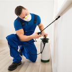 DegenXterminatr's Avatar'