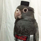 H0nk3rs.DSE's Avatar'