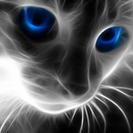 vKoto's Avatar'