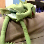 TheBearKing5961's Avatar'