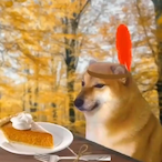 IHasABucket55's Avatar'