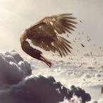 Clvmentine's Avatar'