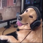 Tuxattack's Avatar'