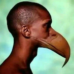 FunhasDoBorel's Avatar'